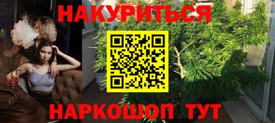 гашик Дубна