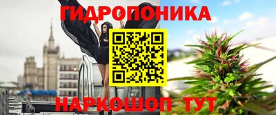 гашик Дубна