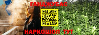 гашик Дубна