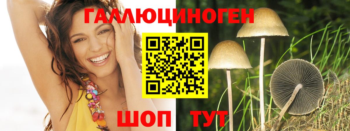 Муравленко  Псилоцибиновые грибы прущие грибы  как найти наркотики  Псилоцибиновые грибы прущие грибы  Вход с VPN 